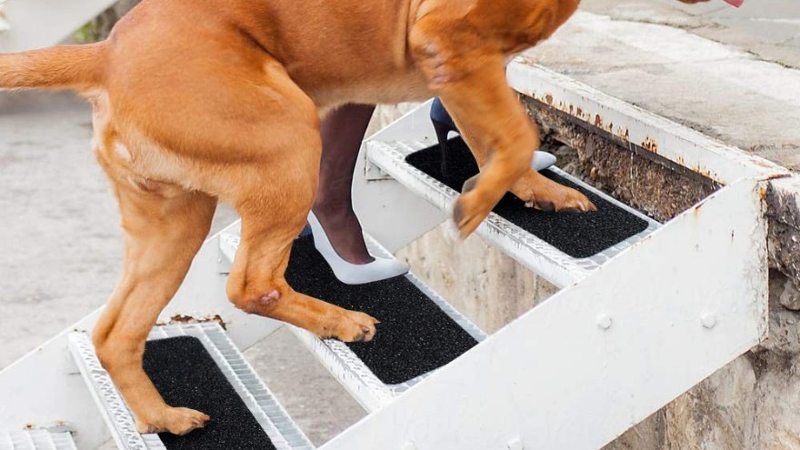 防滑貼，撐起一把生命的保護(hù)傘-防滑貼大量批發(fā)供應(yīng)【昆山玉寰】